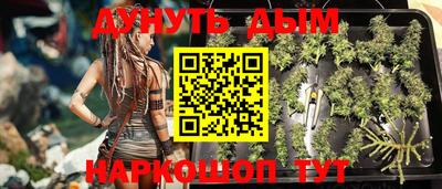 мдпв Славгород