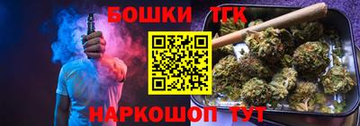 мдпв Славгород