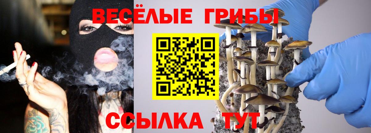 Галлюциногенные грибы Psilocybe  Галлюциногенные грибы мухоморы  Светлоград  Вход с VPN 