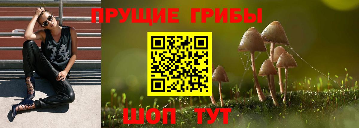 Псилоцибиновые грибы прущие грибы Светлоград